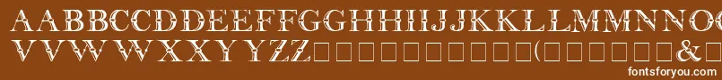 Baffle Font – White Fonts on Brown Background