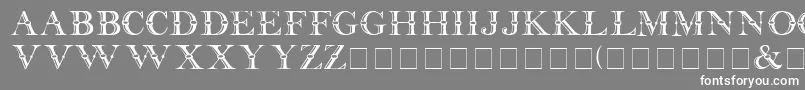 Baffle Font – White Fonts on Gray Background
