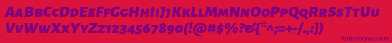 AlegreyasansscBlackitalic Font – Purple Fonts on Red Background