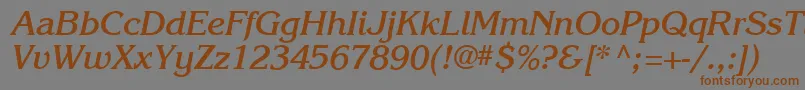 Karlajohnson6Boldcursivesh Font – Brown Fonts on Gray Background