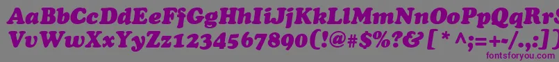 AgcrownstyleItalic Font – Purple Fonts on Gray Background