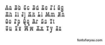 Обзор шрифта AGildialnbk