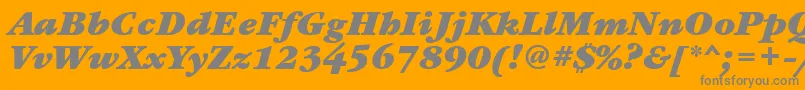 GaramondbookbttBolditalic Font – Gray Fonts on Orange Background