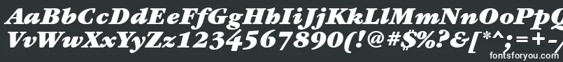 Шрифт GaramondbookbttBolditalic – белые шрифты на чёрном фоне