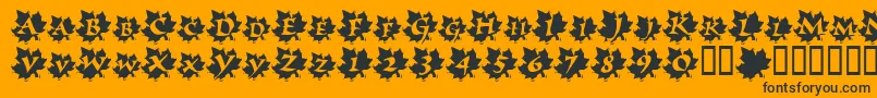 MapleLeafRag Font – Black Fonts on Orange Background