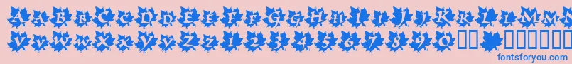 Шрифт MapleLeafRag – синие шрифты на розовом фоне