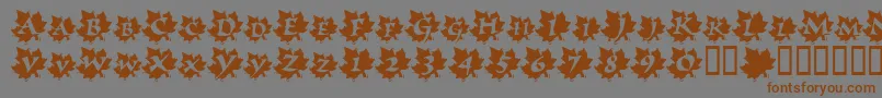 Czcionka MapleLeafRag – brązowe czcionki na szarym tle