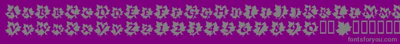 Czcionka MapleLeafRag – szare czcionki na fioletowym tle
