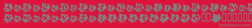 フォントMapleLeafRag – 赤い背景に灰色の文字
