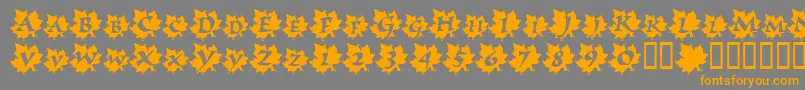Police MapleLeafRag – polices orange sur fond gris
