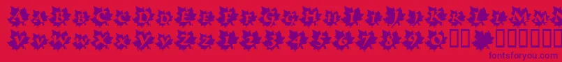 Подробнее о шрифте MapleLeafRag Шрифт MapleLeafRag – фиолетовые шрифты на красном фоне
