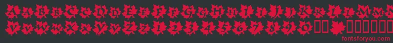 フォントMapleLeafRag – 黒い背景に赤い文字