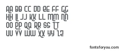 Обзор шрифта Rokikier