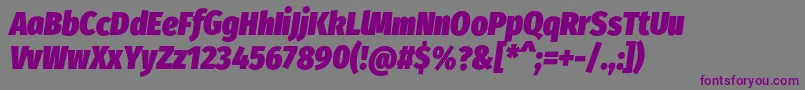 FirasanscondensedUltraitalic Font – Purple Fonts on Gray Background