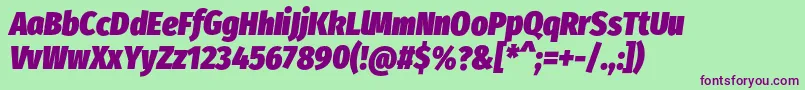 FirasanscondensedUltraitalic Font – Purple Fonts on Green Background