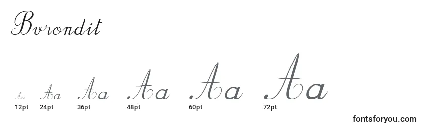 Размеры шрифта Bvrondit