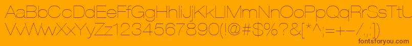 HelveticaLt23UltraLightExtended Font – Brown Fonts on Orange Background