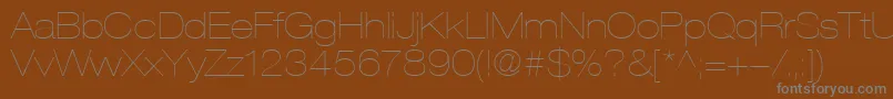 HelveticaLt23UltraLightExtended Font – Gray Fonts on Brown Background