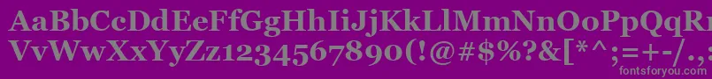 Lisätietoja MsReferenceSerifПолужирный-fontista MsReferenceSerifПолужирный-fontti – harmaat kirjasimet violetilla taustalla