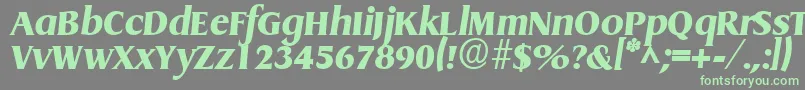 Griffonextrabold ffy Font – Green Fonts on Gray Background