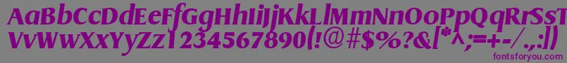 More about Griffonextrabold ffy Font Griffonextrabold ffy Font – Purple Fonts on Gray Background