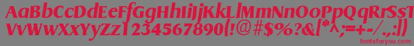 Griffonextrabold ffy Font – Red Fonts on Gray Background
