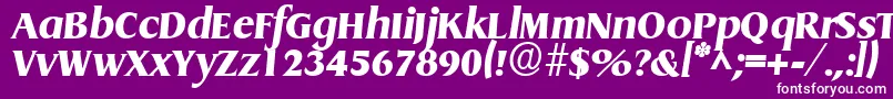 フォントGriffonextrabold ffy – 紫の背景に白い文字