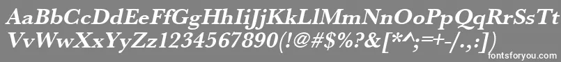 UrwbaskertBoldOblique Font – White Fonts on Gray Background