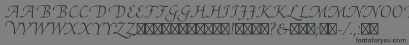 AriadneltstdRoman Font – Black Fonts on Gray Background