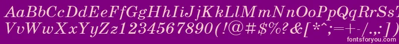 SchoolbookItalicCyrillic Font – Pink Fonts on Purple Background