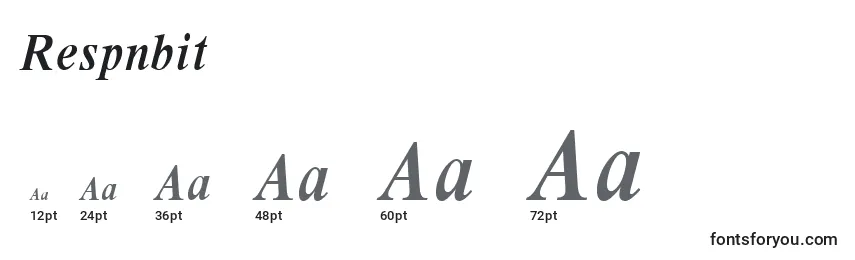 Respnbit Font Sizes