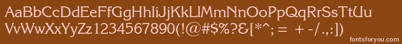 KarinaRegular Font – Pink Fonts on Brown Background