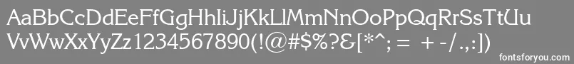 KarinaRegular Font – White Fonts on Gray Background