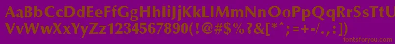 OptaneextraboldRegular Font – Brown Fonts on Purple Background
