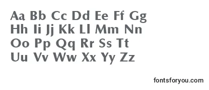 Review of the OptaneextraboldRegular Font