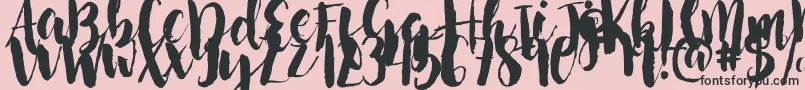 NightingaleSample Font – Black Fonts on Pink Background