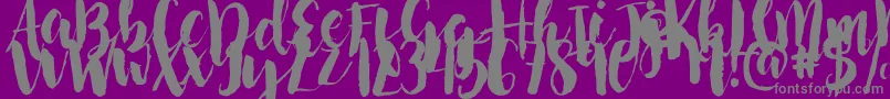 NightingaleSample-Schriftart – Graue Schriften auf violettem Hintergrund