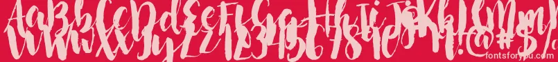fuente NightingaleSample – Fuentes Rosadas Sobre Fondo Rojo