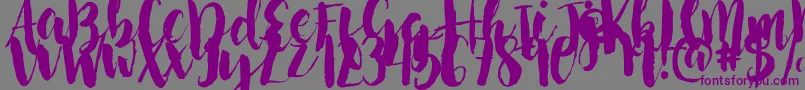 Police NightingaleSample – polices violettes sur fond gris