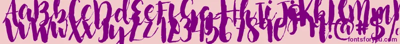 NightingaleSample-fontti – violetit fontit vaaleanpunaisella taustalla