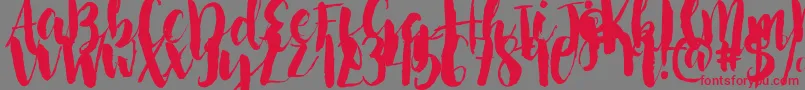 フォントNightingaleSample – 赤い文字の灰色の背景