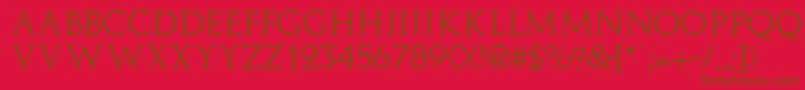 ElizaRegular Font – Brown Fonts on Red Background