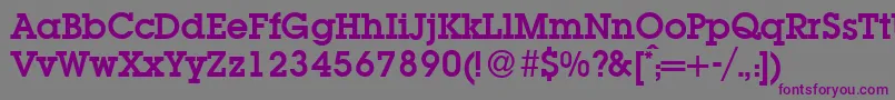 L850SlabBold Font – Purple Fonts on Gray Background