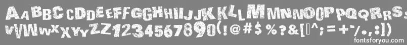 フォントActionOfTheTimeUpperCase – 灰色の背景に白い文字