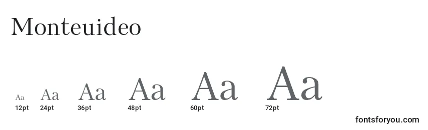 Monteuideo Font Sizes