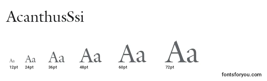 AcanthusSsi Font Sizes