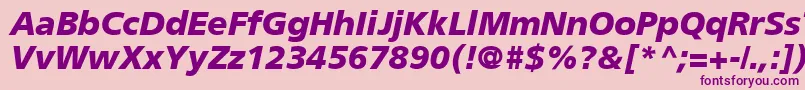 PalmaBlackSsiBlack Font – Purple Fonts on Pink Background