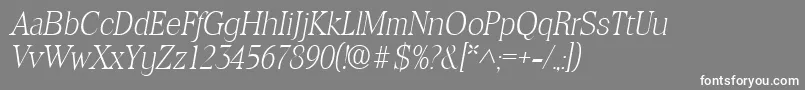 ToledolhItalic Font – White Fonts on Gray Background