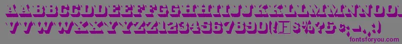 WhiteBold Font – Purple Fonts on Gray Background