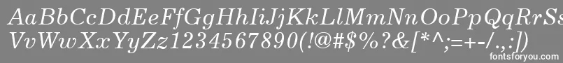 フォントExcelsiorLtItalic – 灰色の背景に白い文字